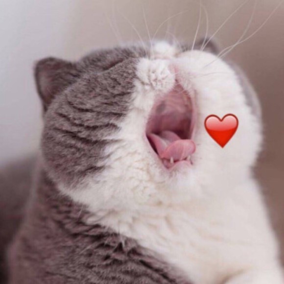 smenapnqnr